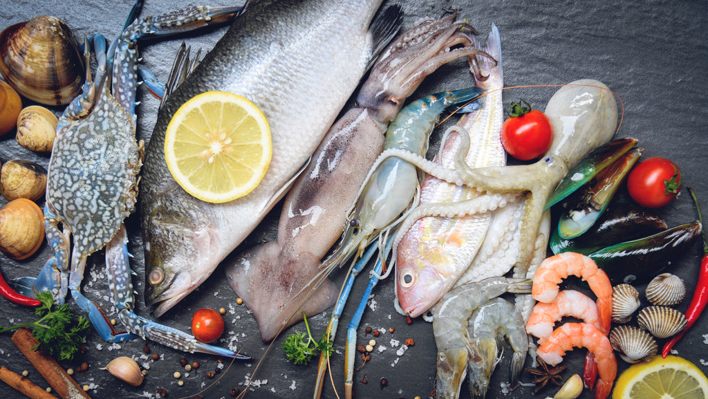 Quel futur pour le marché du poisson au Maroc ?