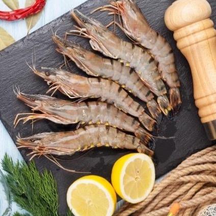 Crevettes tigrées géantes